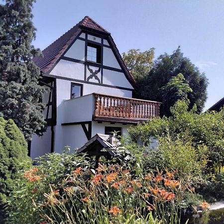 Pusteblume Appartement Groitzsch Buitenkant foto