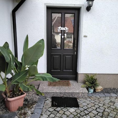 Pusteblume Appartement Groitzsch Buitenkant foto