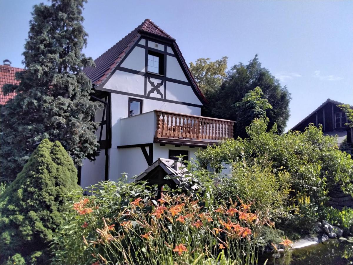 Pusteblume Appartement Groitzsch Buitenkant foto
