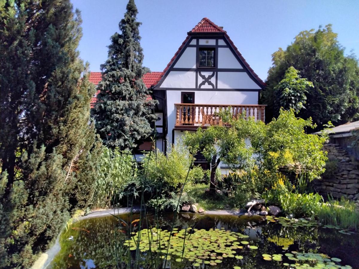 Pusteblume Appartement Groitzsch Buitenkant foto