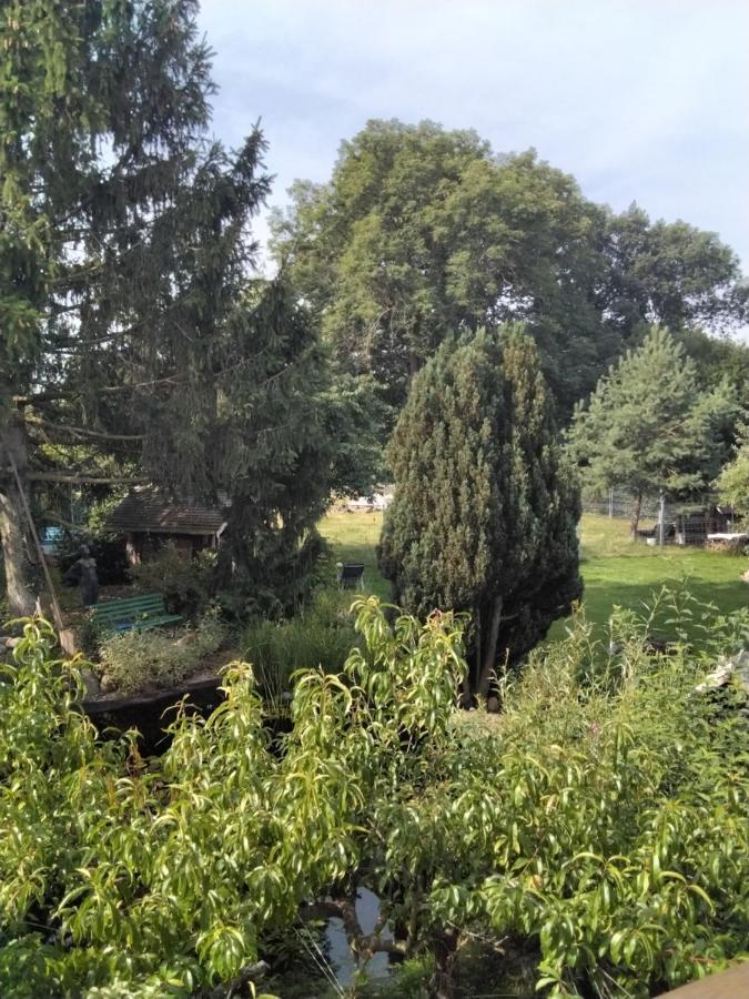 Pusteblume Appartement Groitzsch Buitenkant foto